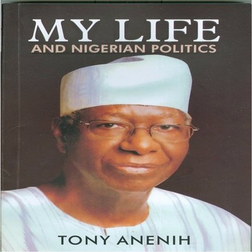 My Life And Nigerian Politics